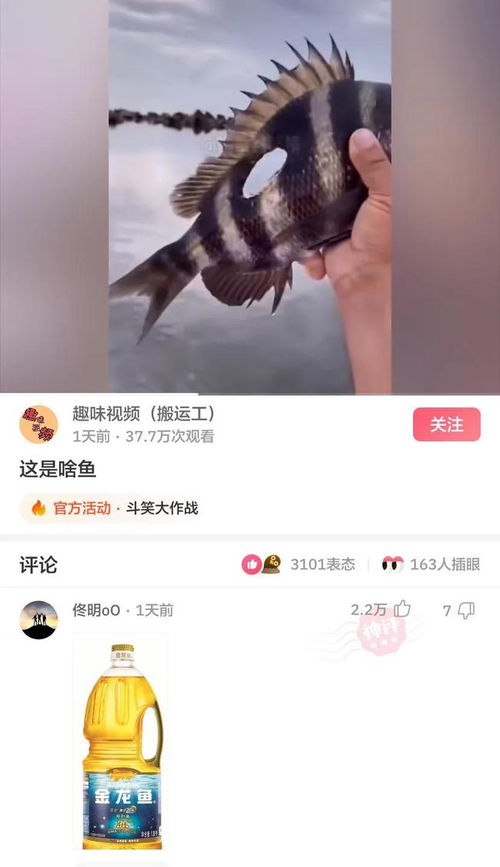 表兄弟群怎么起名字好