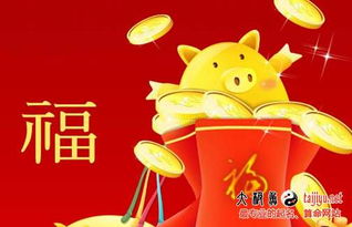 猪年黄耀字辈怎么起名字