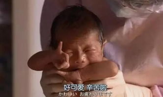 父姓刘母姓舒怎么起名字