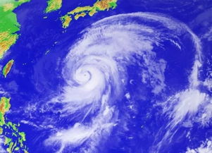 台风韦帕或以“巅峰强度”登陆广东