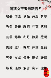 男孩属猪起名姓徐怎么样
