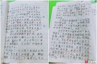 小学生画画日记怎么起名