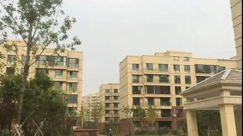 潍坊房子怎么起名字最好