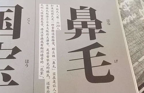 姓魏文怎么起名字