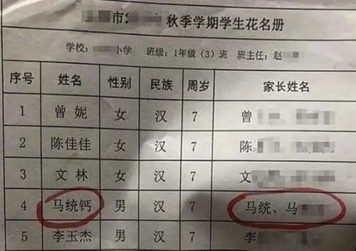 爸爸给3胞胎起名怎么写