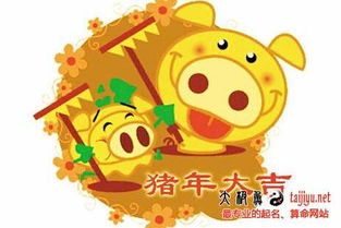 猪年小孩起名姓夏怎么取