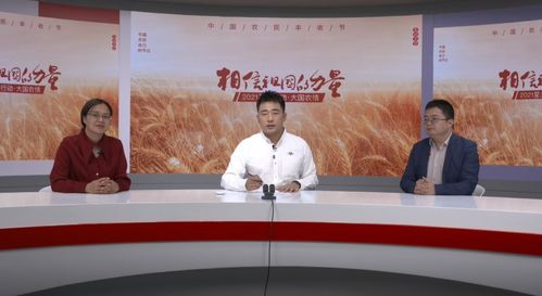 三农直播间起名怎么起