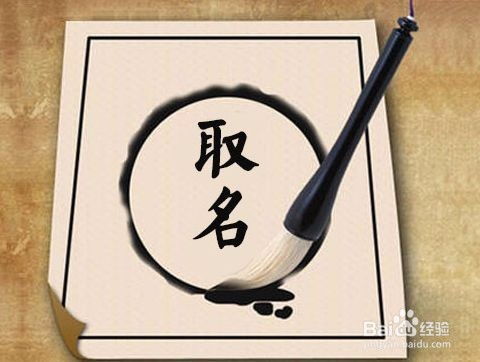 怎么给小说角色起名字