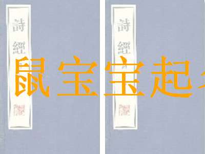 姓沈的该怎么起名男孩