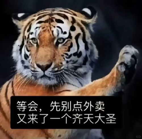 女虎宝宝缺金怎么起名