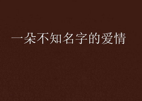 情感文案怎么起名字好听