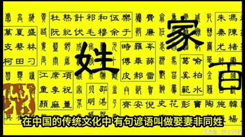 潘姓母亲姓陶怎么起名