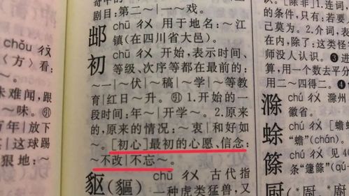 赵起名生僻字怎么写