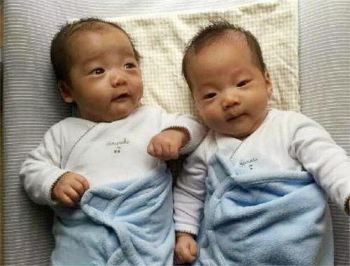 爸爸给6胞胎起名怎么写