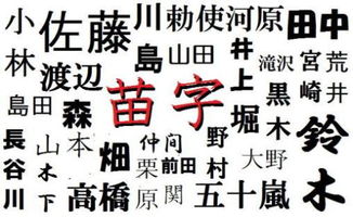 庄姓心字辈怎么起名