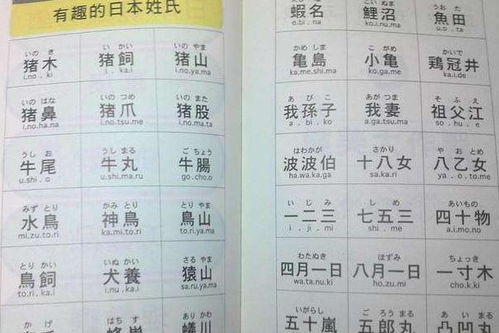 姓迷的人怎么起名字
