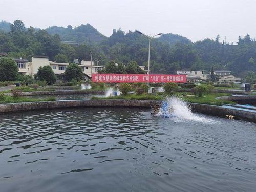 餐厅起名五要素怎么写
