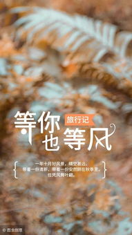 怎么用流年起名字