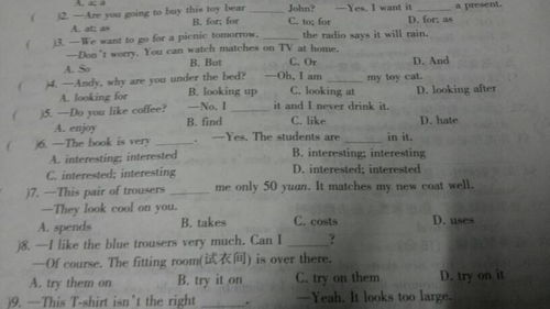 新系列起名英文怎么写