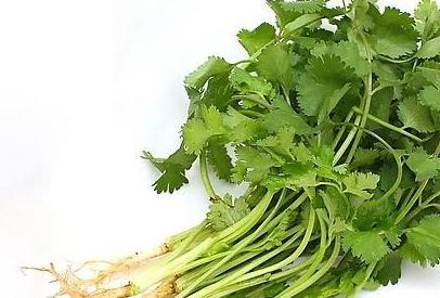 羊肠菜怎么起名字