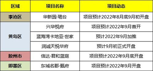 跑市场怎么给项目起名