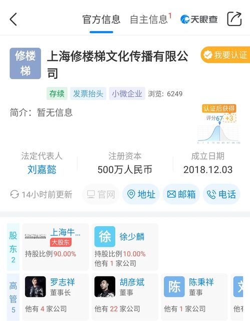 公司起名查询结果怎么查