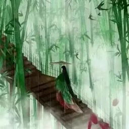 竹林和雪雨怎么起名
