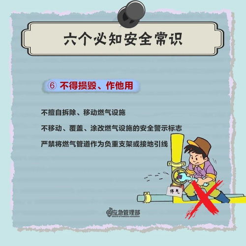 有趣冷知识标题怎么起名