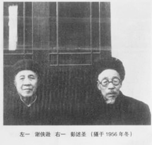 彭马怎么起名字