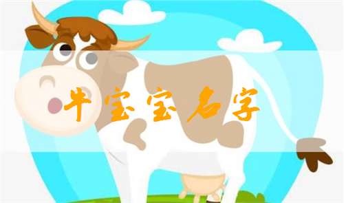 姓段属牛怎么起名