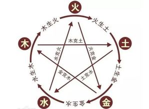 付慧怎么起名字