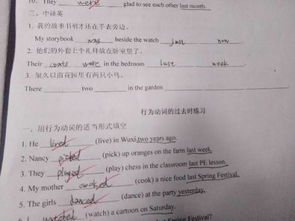 给小鸟起名英语怎么写