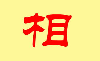 卜姓怎么起名女
