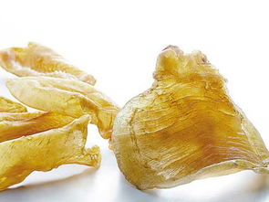 鱼胶炖牛奶怎么起名