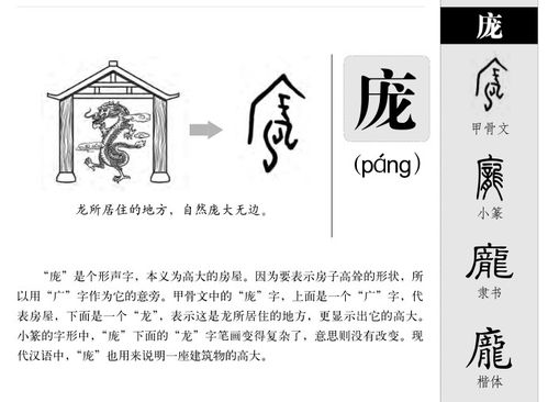 庞怎么起名字