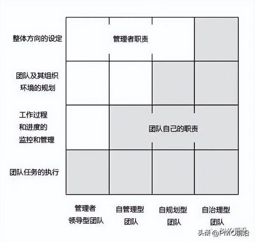 敏捷项目组织怎么起名