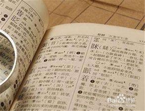 名典起名怎么样