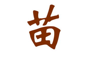 苗苗姓怎么起名
