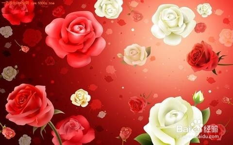 手工玫瑰怎么起名