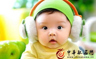 鸡宝宝怎么起名