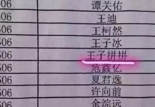 怎么给孙子起名