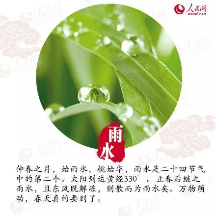 雨水节怎么起名