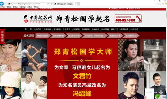 郑青松起名网怎么样