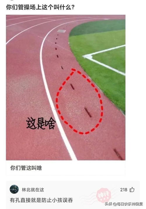 姓贾的怎么起名字