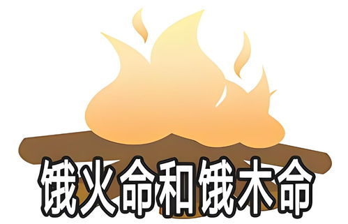 饿火命怎么起名字