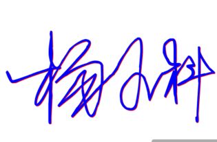 杨字怎么起名字大全