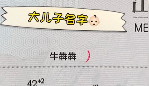 老二怎么起名字
