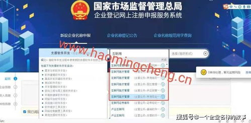 互联网公司怎么起名