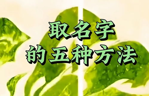 谢咏起名怎么样