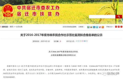 农村合作社怎么起名